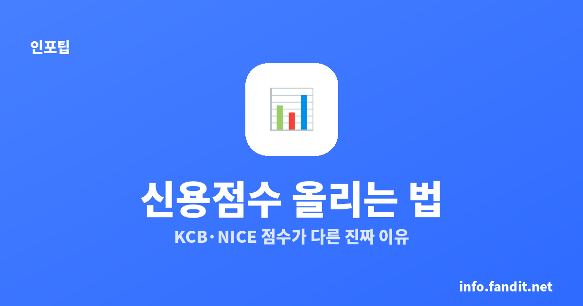 신용점수 올리는 법, KCB·NICE 점수가 다른 진짜 이유