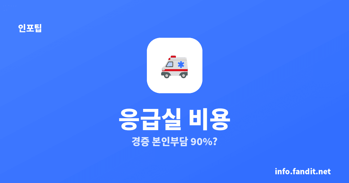 응급실 비용, 경증이면 본인부담 90%? 병원 종류별로 달라져요