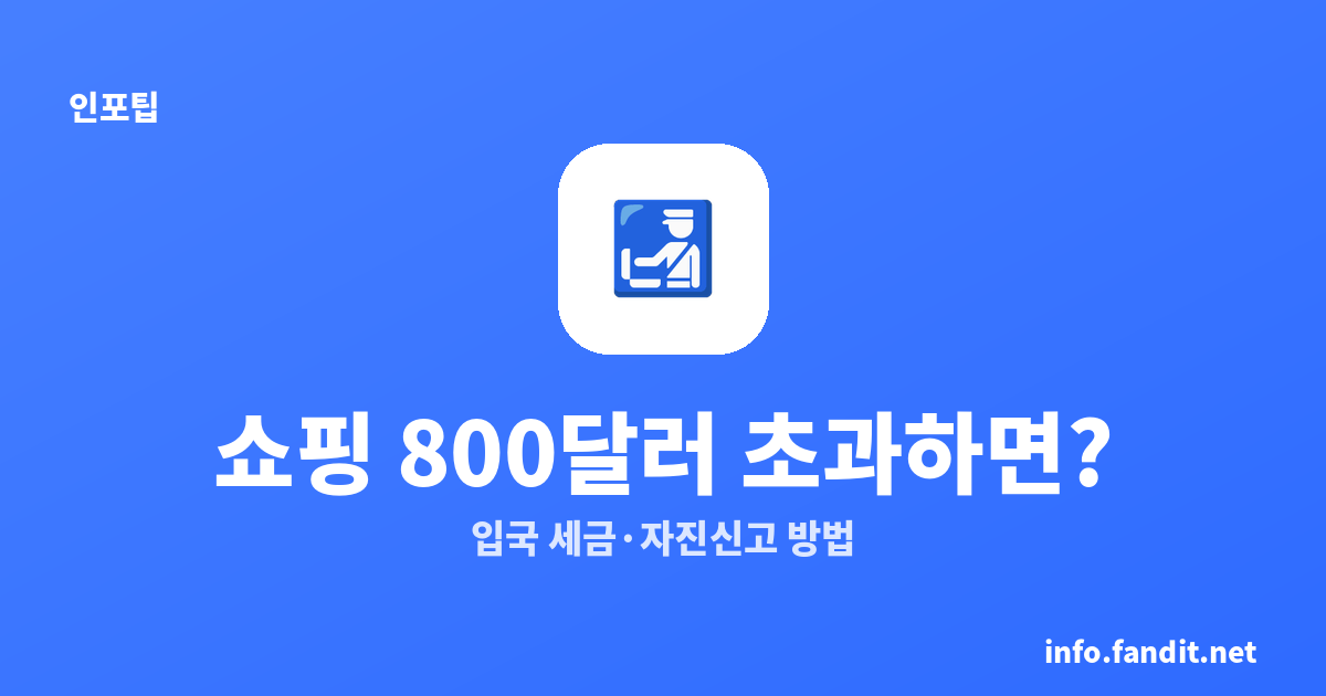 일본 쇼핑 800달러 초과하면? 한국 입국 세금·자진신고 방법