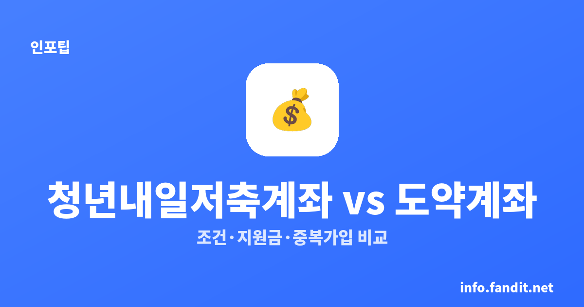 청년내일저축계좌 vs 청년도약계좌 차이｜조건·지원금·중복가입 비교