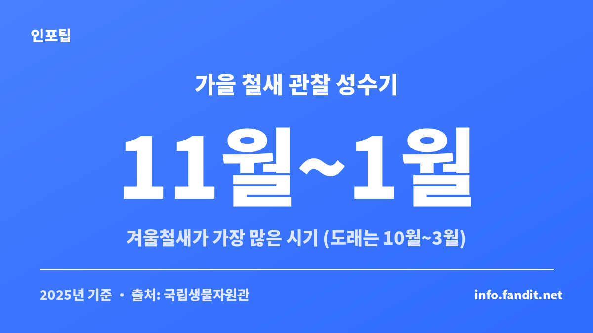 가을 철새 탐조 명소의 겨울철새 관찰 절정 시기를 정리한 안내 카드