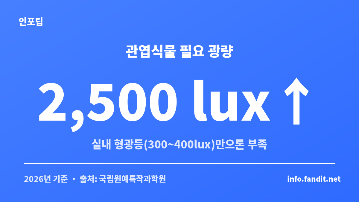 가을 실내 식물 관리에서 대부분 관엽식물이 필요한 광량 2,500럭스 기준을 보여주는 카드