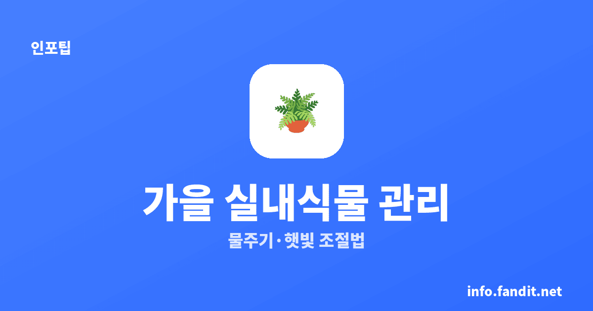 가을 실내 식물 관리, 여름처럼 물 주면 뿌리 썩어요