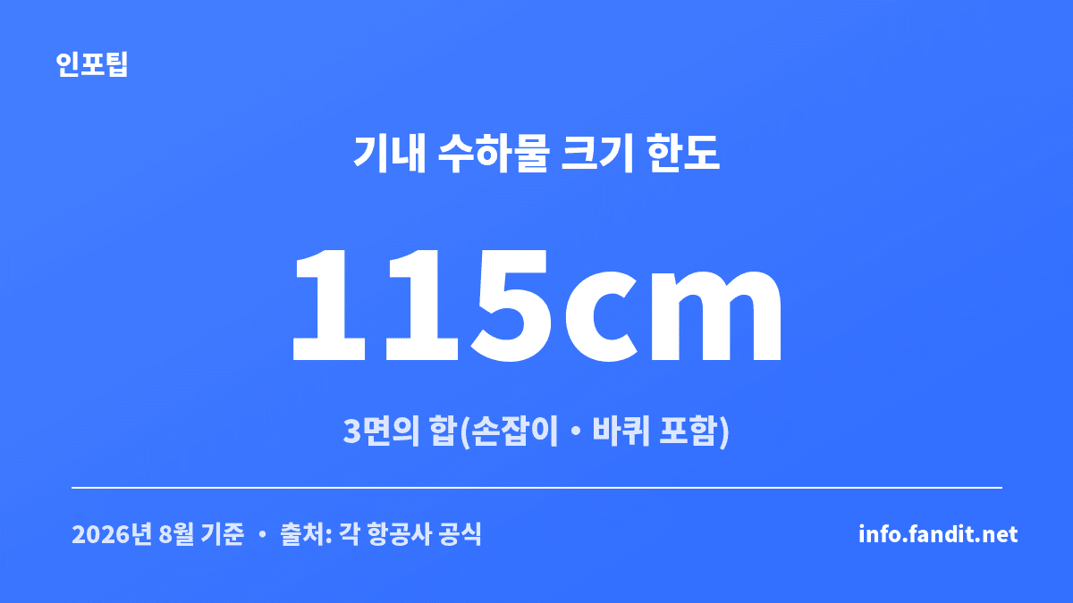 기내 수하물 크기 규정인 3면의 합 115cm를 손잡이·바퀴 포함해 재는 기준을 설명한 이미지