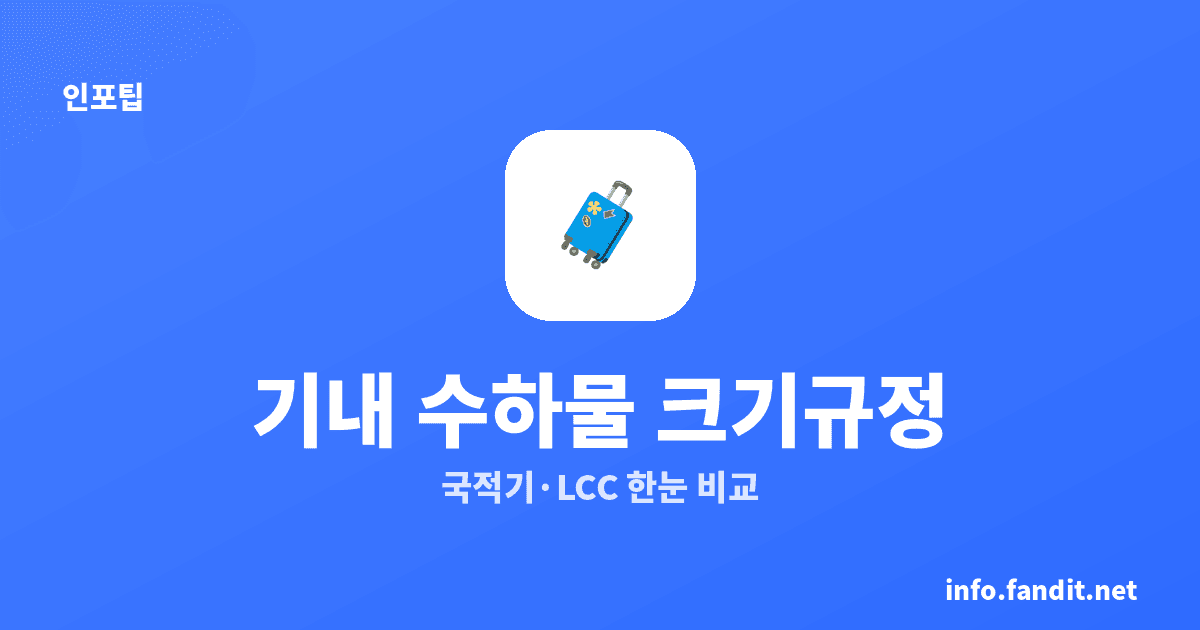 기내 수하물 크기 규정 총정리 (LCC vs 국적기 비교)