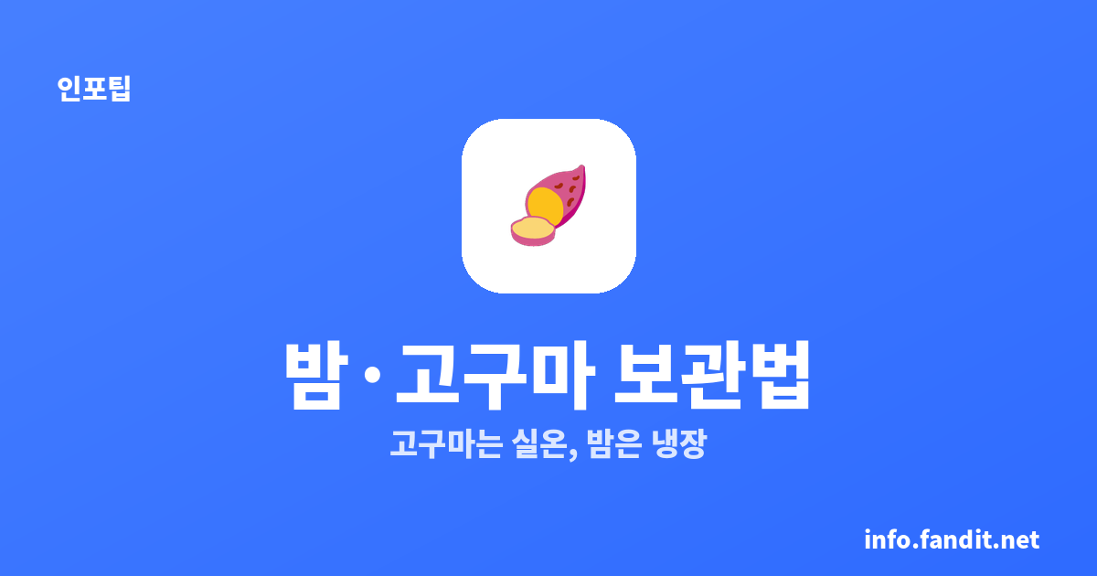 고구마는 냉장 보관 금지? 밤·고구마 제대로 보관하는 법