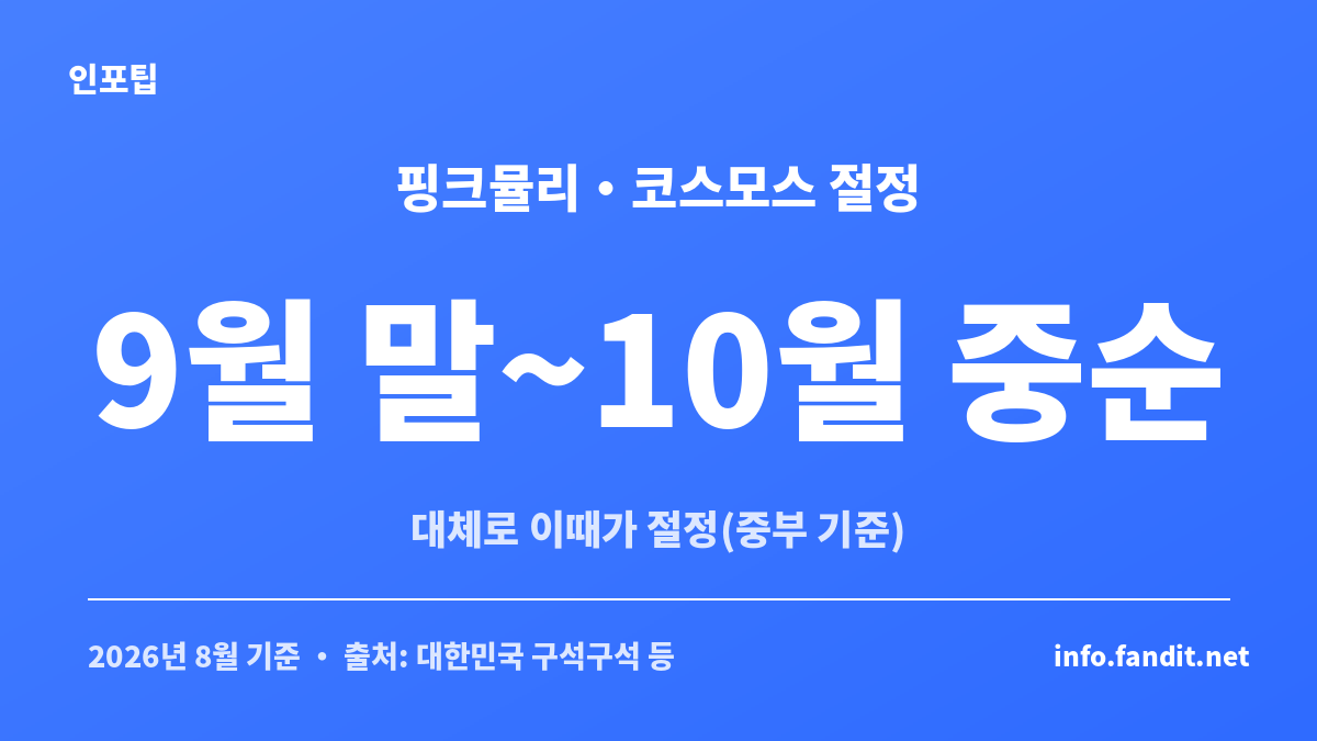 2026 코스모스 핑크뮬리 절정 시기 캘린더, 9월 말부터 10월 중순