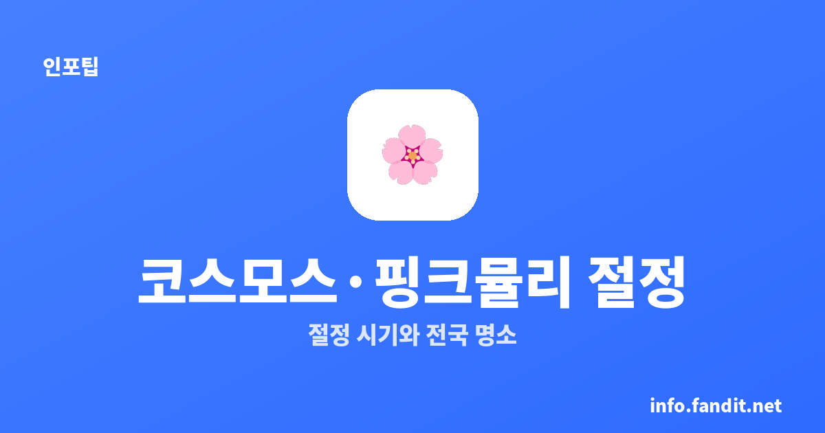 핑크뮬리·코스모스, 2026 절정 시기와 명소 한눈에