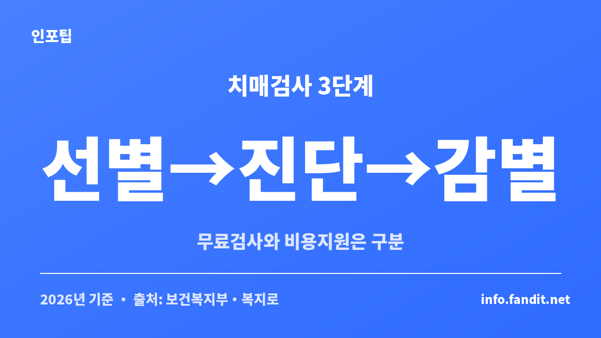 치매검사 비용 지원 조기검진을 선별·진단·감별 3단계로 구분한 안내 카드
