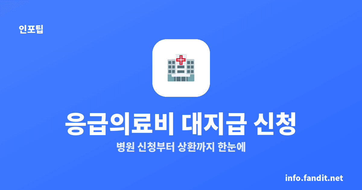 응급의료비 대지급 제도 신청 방법
