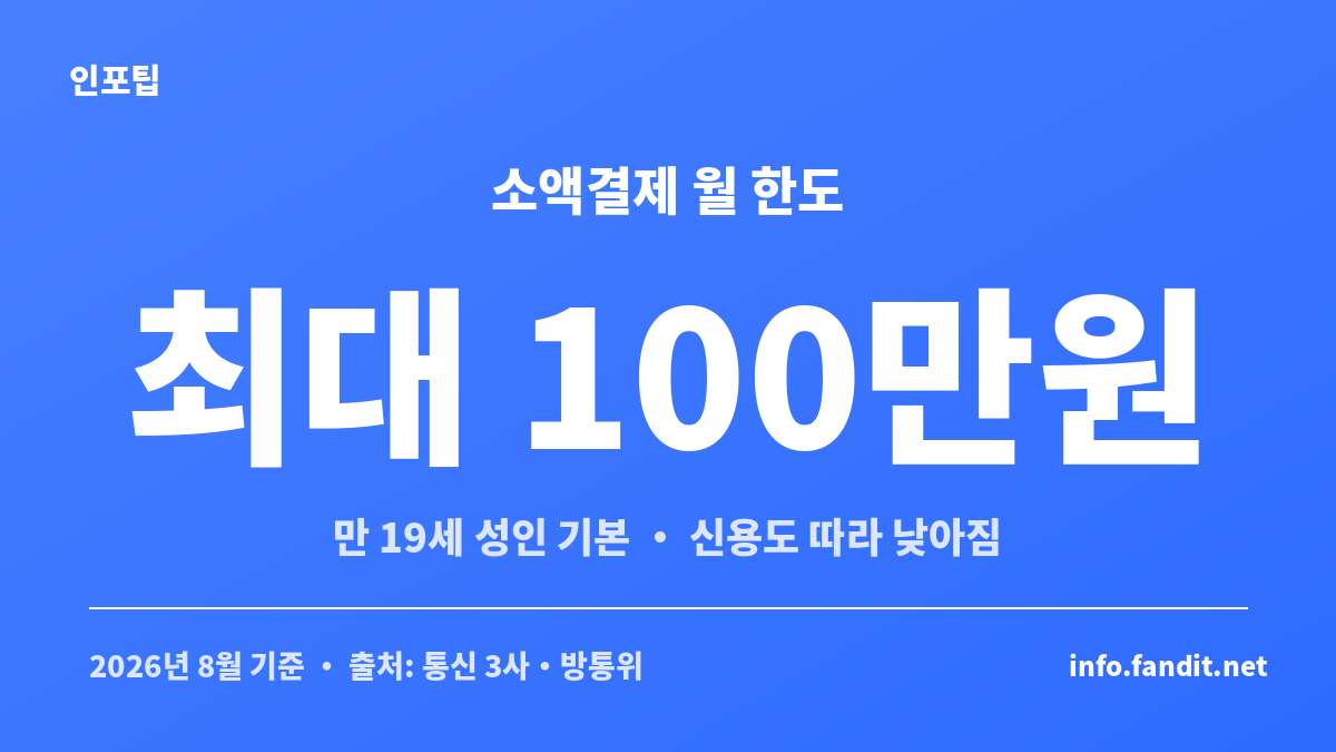 휴대폰 소액결제 월 한도가 최대 100만원임을 보여주는 정보 카드