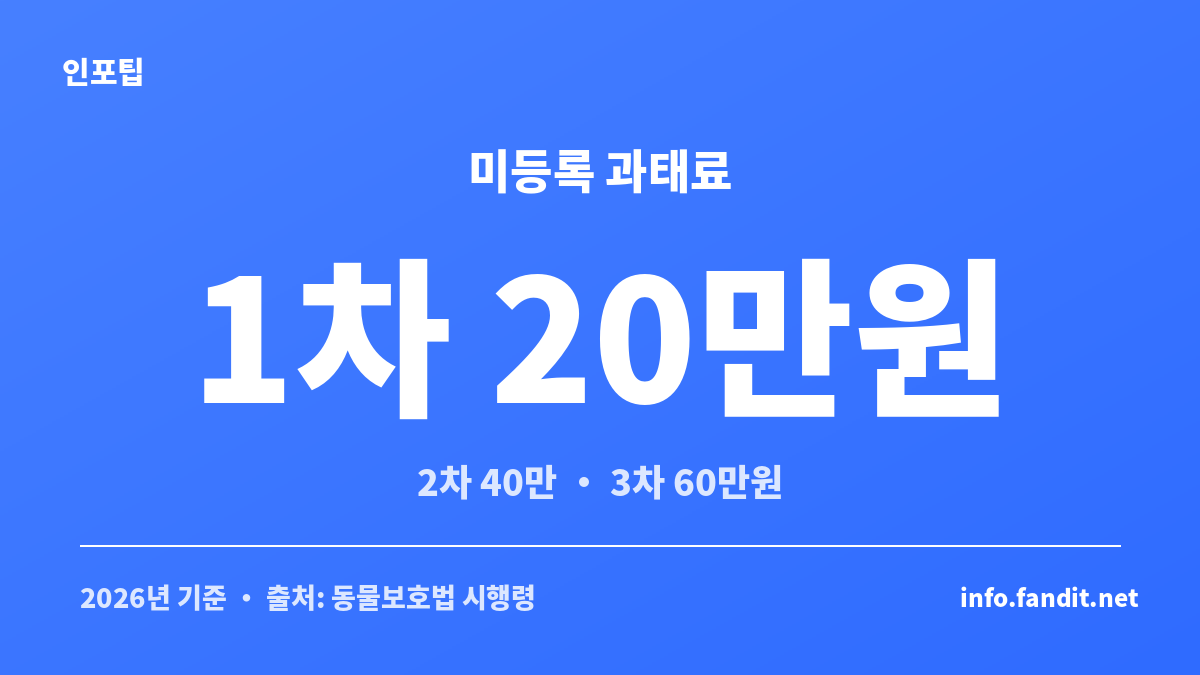 반려견 미등록 시 차수별 과태료 금액을 보여주는 동물등록 과태료 카드