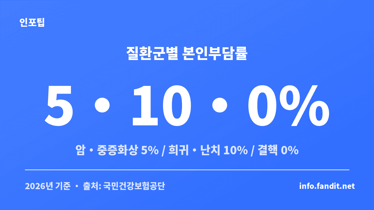 산정특례 본인부담 5% 기준으로 암·희귀·결핵 등 질환군별 본인부담률을 비교한 카드