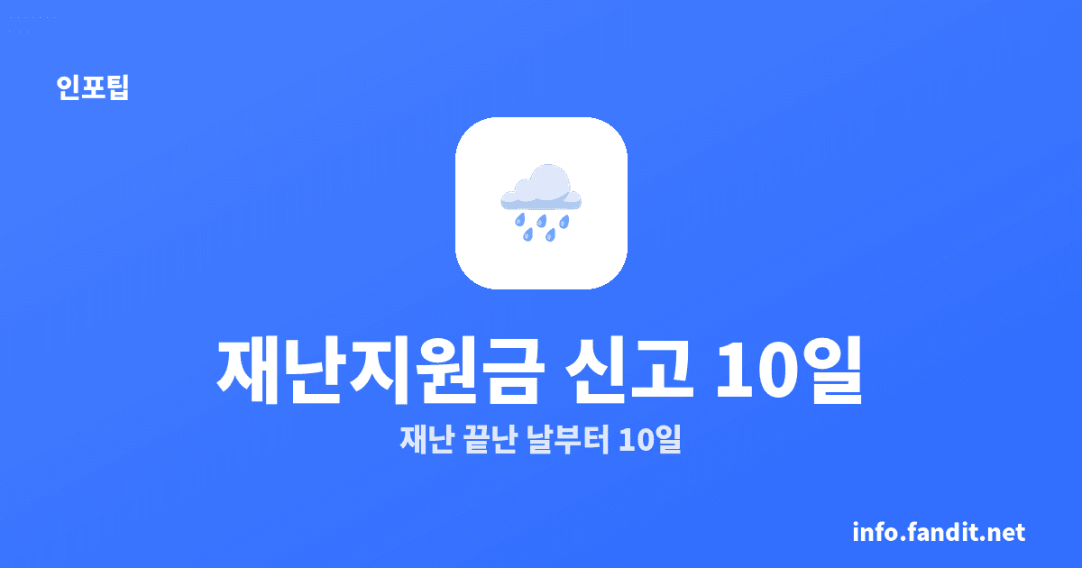 태풍·호우 재난지원금, 10일 안에 신고 안 하면 못 받아요