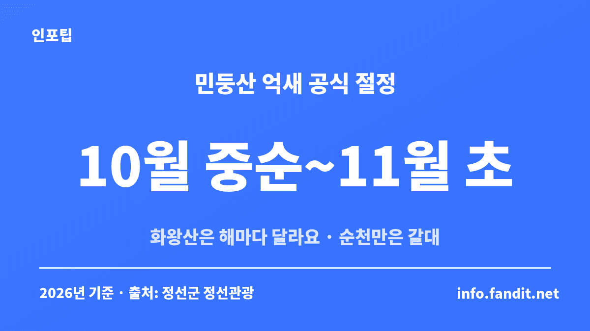 가을 억새 명소 중 민둥산 억새의 공식 절정 시기 10월 중순~11월 초를 보여주는 카드
