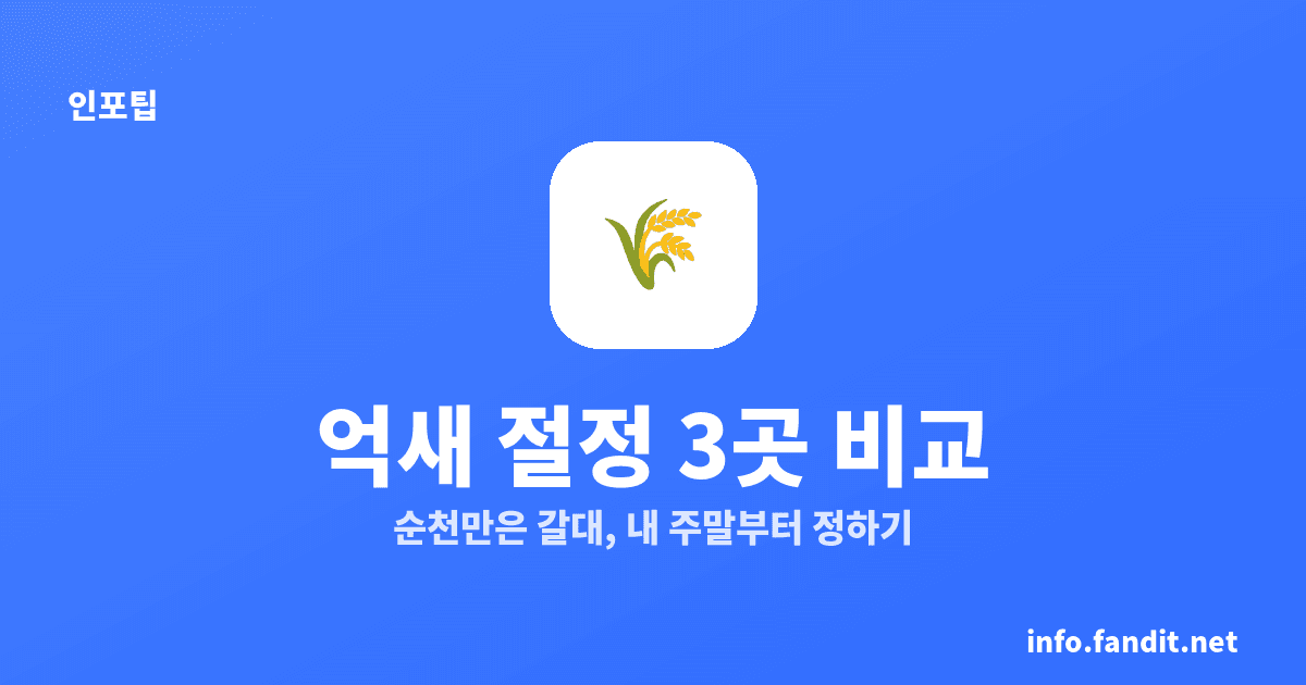 가을 억새 명소 절정 시기, 10월 중순부터·순천만은 갈대
