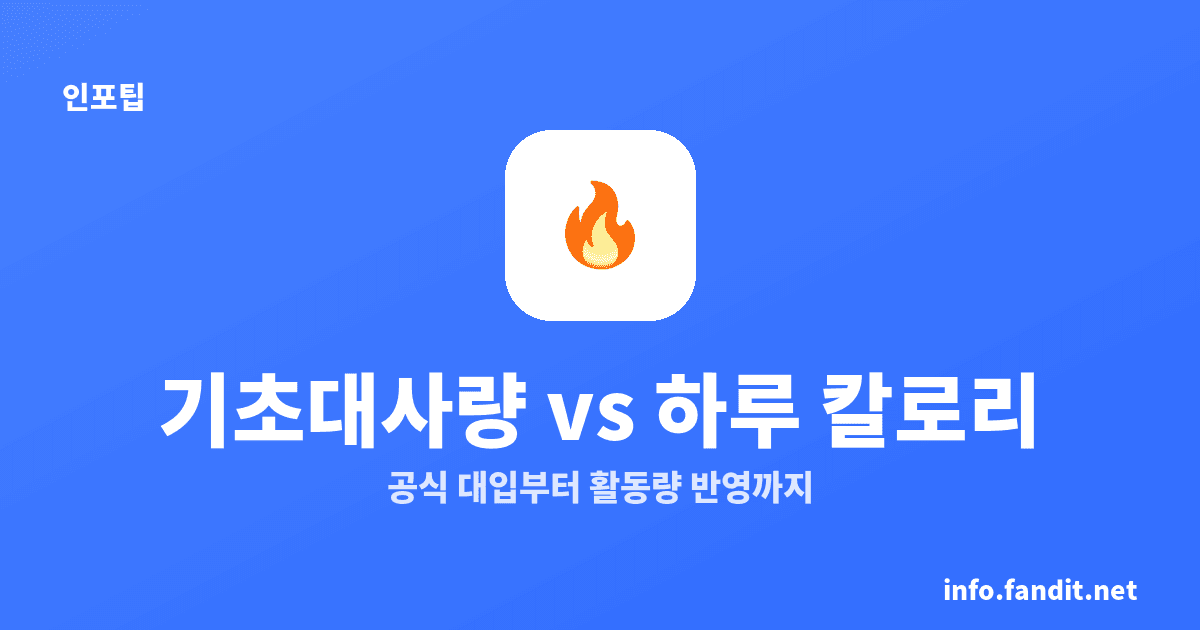 기초대사량 계산법과 하루 권장 칼로리, 활동량이 핵심