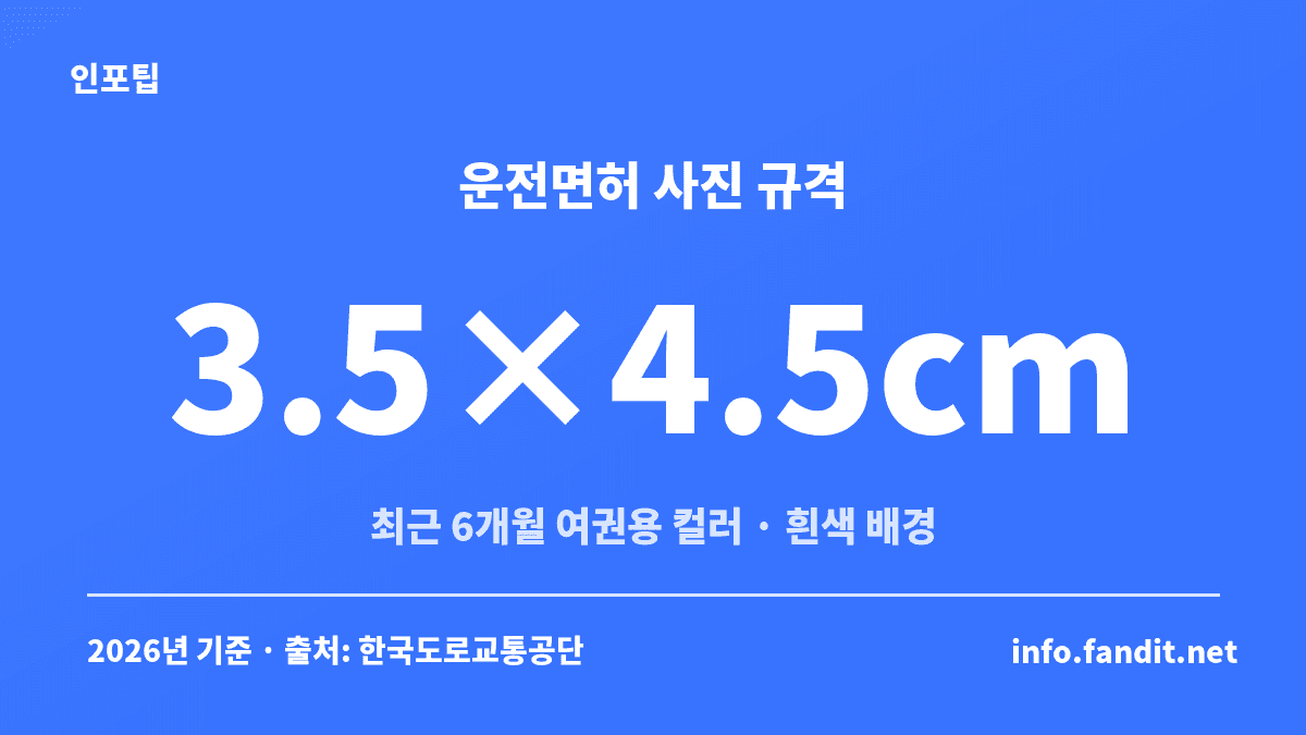 운전면허증 갱신·적성검사 사진 규격 3.5×4.5cm, 최근 6개월 이내 촬영한 흰색 배경 여권용 컬러사진