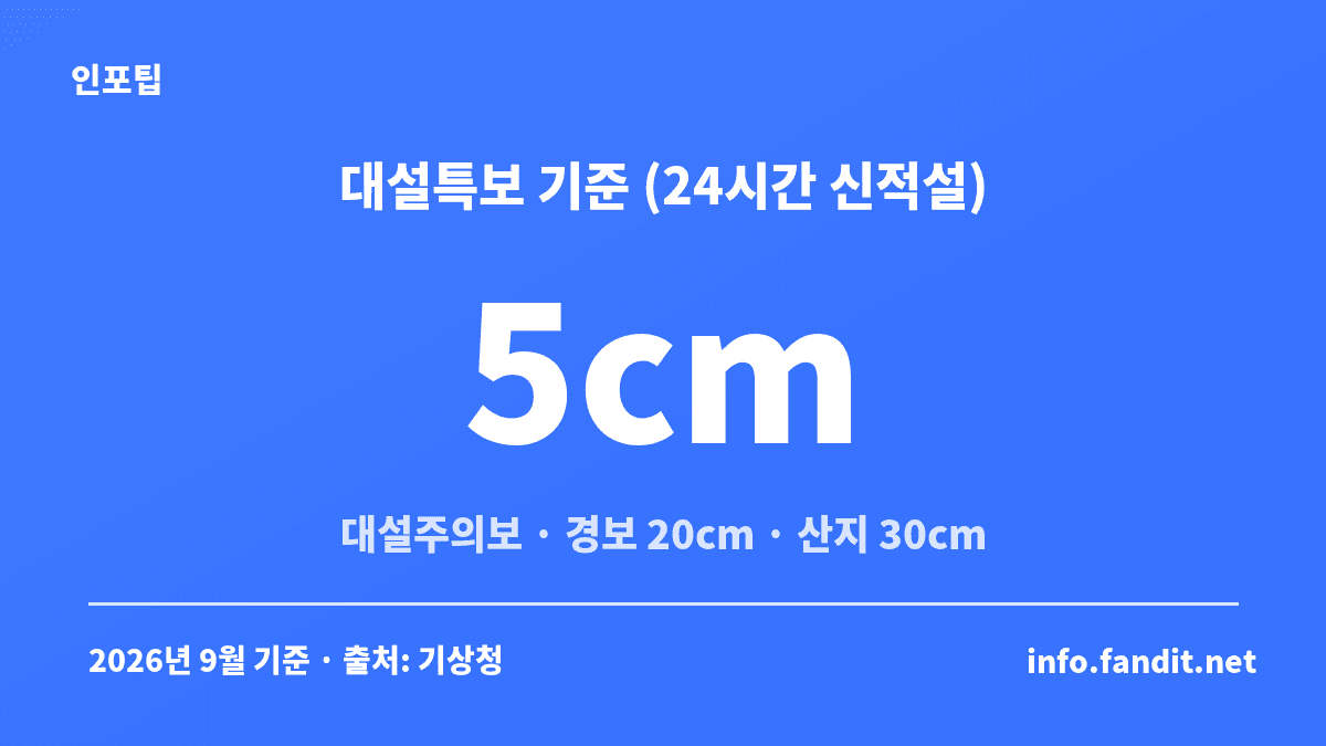 대설주의보 24시간 5cm, 대설경보 20cm, 산지 대설경보 30cm 기준을 정리한 카드