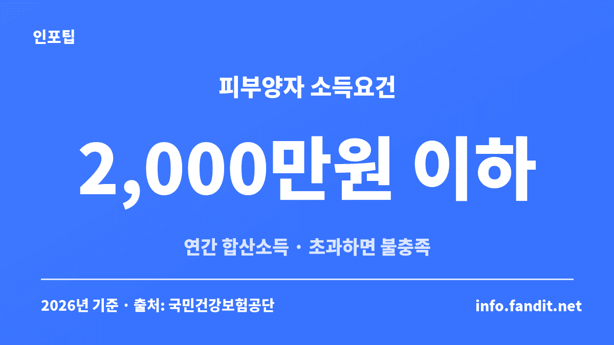 피부양자 탈락 소득 기준 2천만원, 연간 합산소득 2,000만원 이하는 소득요건 통과이고 초과하면 불충족이라는 기준 카드