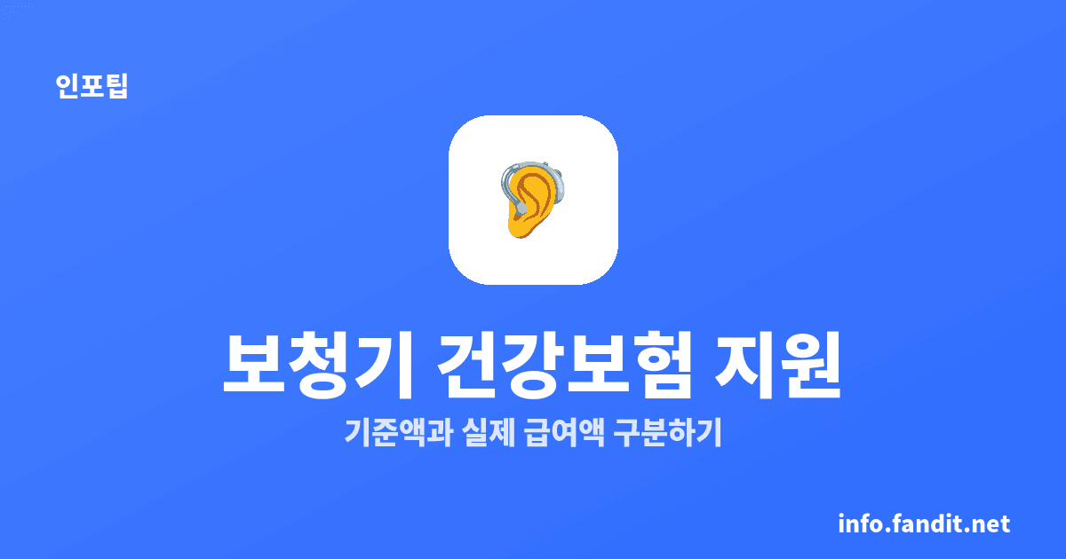보청기 건강보험 지원 131만원, 일반 최대 117만9천원