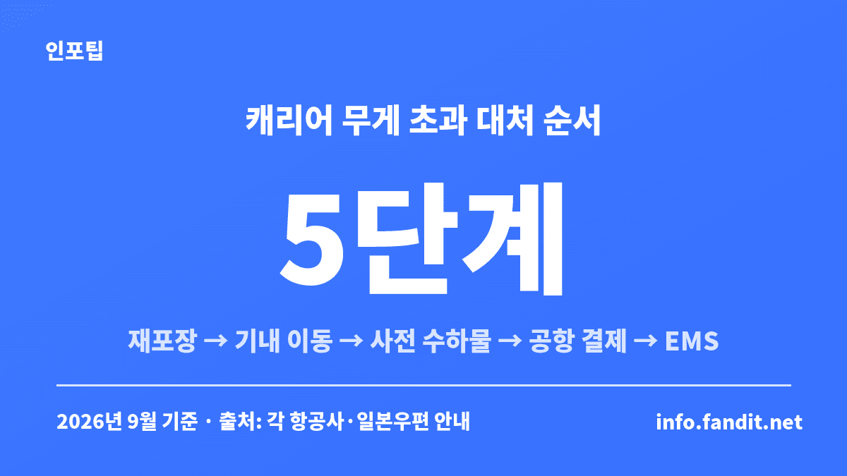 일본 쇼핑 캐리어 무게 초과 대처법 5단계 — 재포장, 기내 이동, 사전 수하물, 공항 초과요금, EMS 순서