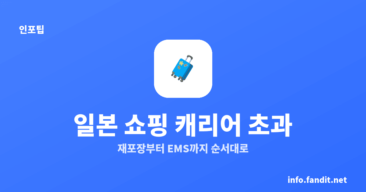 일본 쇼핑 캐리어 무게 초과 대처법, 5가지 순서