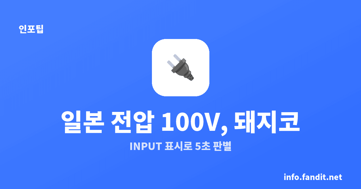 일본 전압 110V? 100V예요, 돼지코는 필요해요