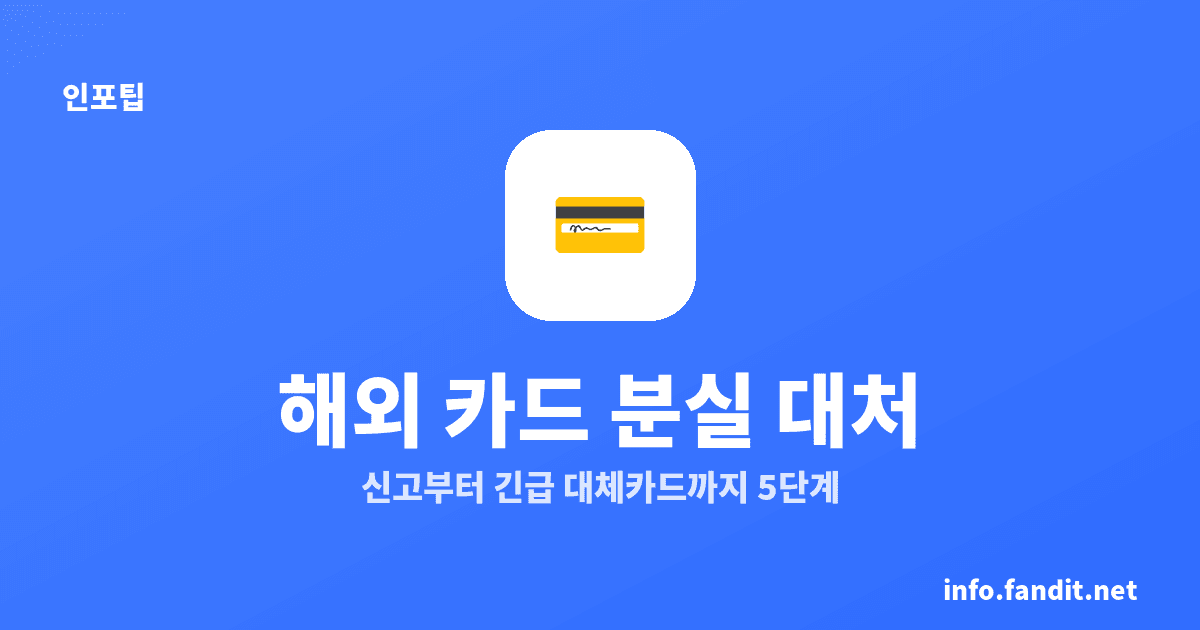 해외여행 중 카드 분실 대처, 즉시 해야 할 5단계
