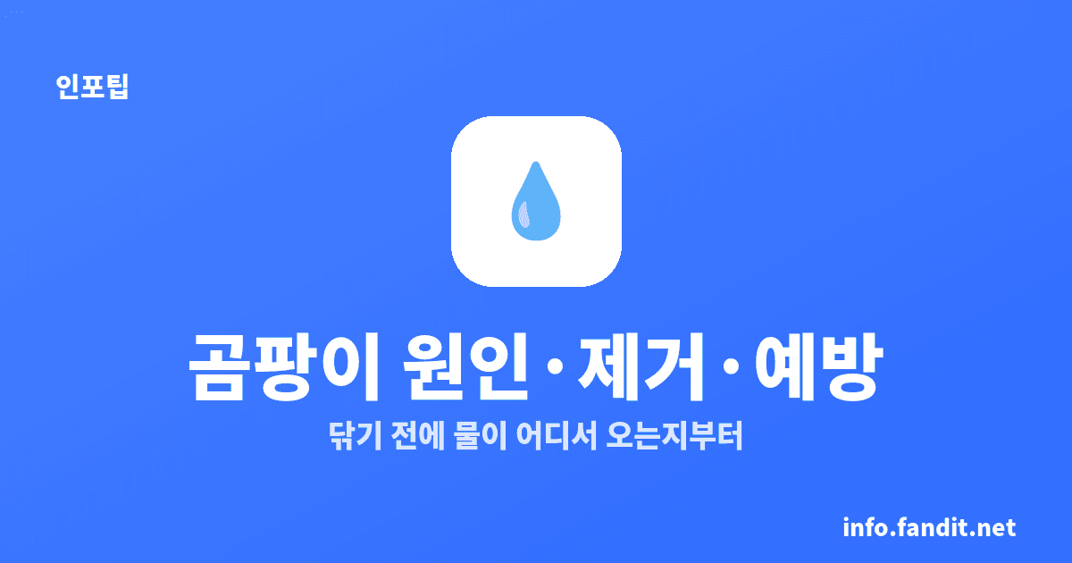 곰팡이 생기는 원인과 제거·예방, 핵심은 습기 차단