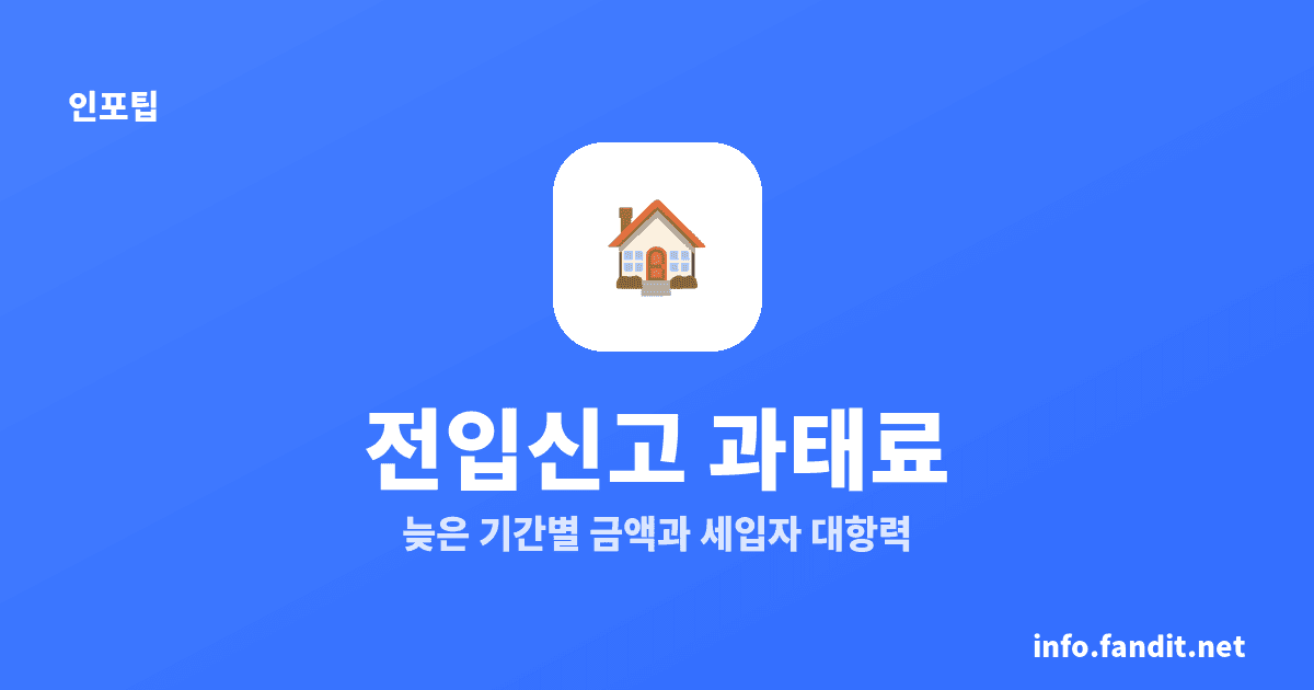 전입신고 안 하면 과태료 얼마? 14일 이후 최대 5만원