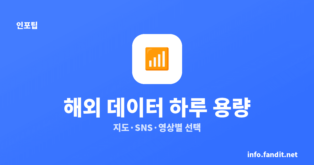 해외 데이터 하루 사용량, SNS 즐기면 1~2GB부터
