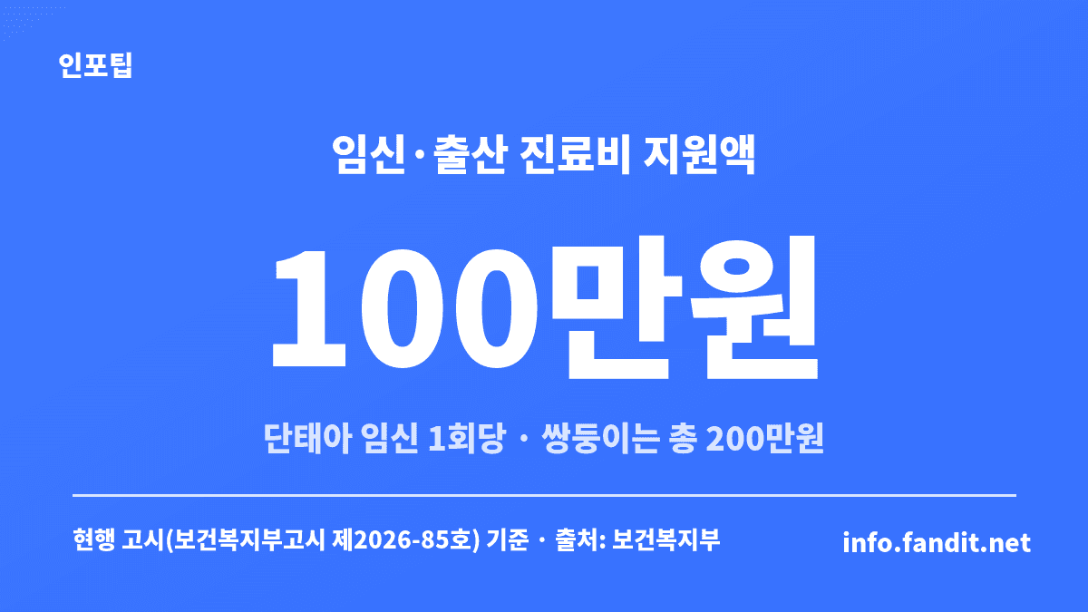 임신 출산 진료비 바우처 지원액이 단태아 100만원, 쌍둥이 200만원임을 보여주는 수치 카드