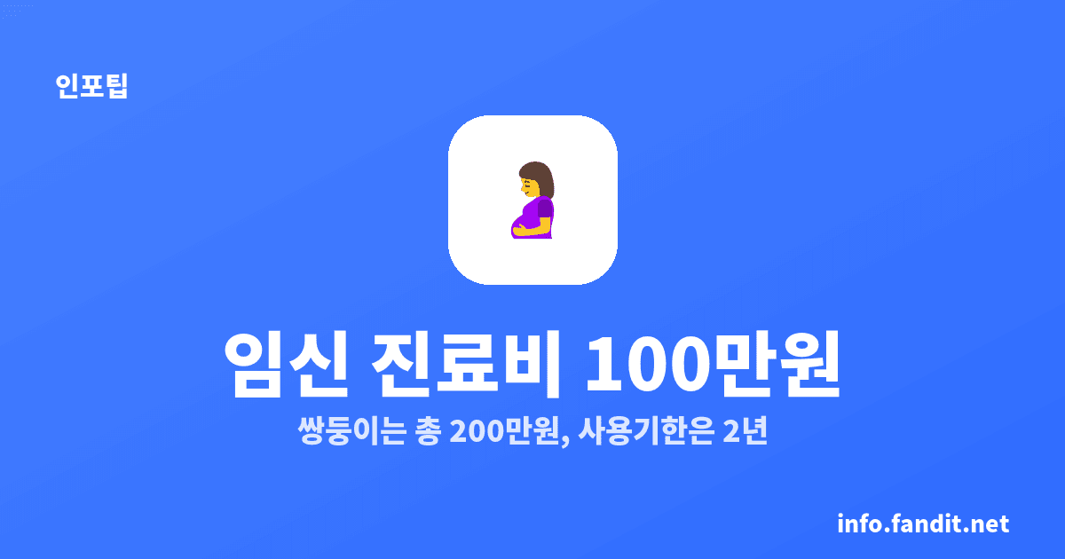임신 출산 진료비 바우처 100만원, 쌍둥이 200만원