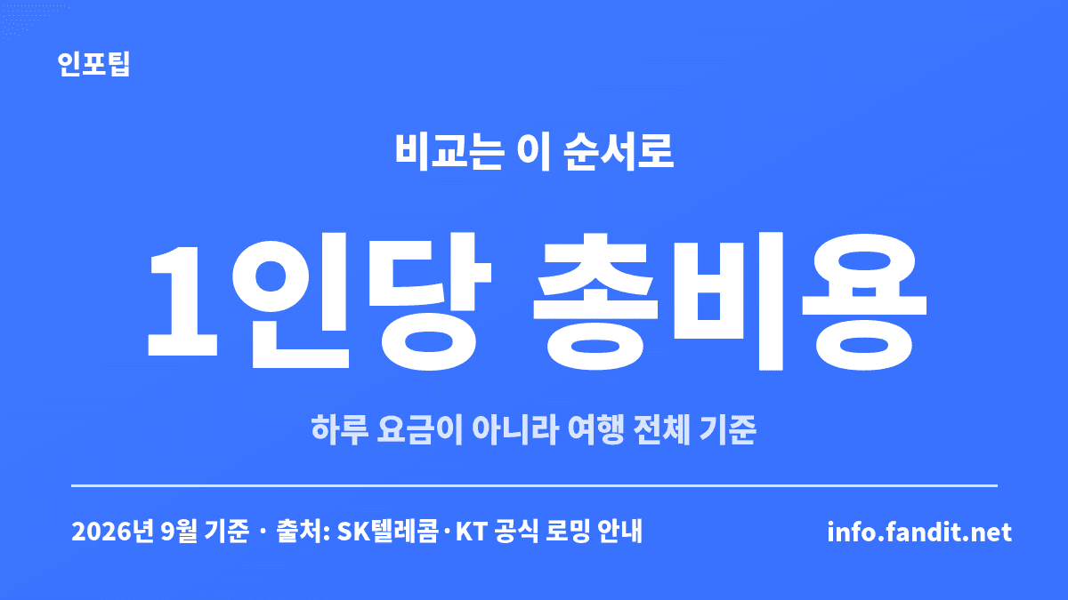 해외 로밍 vs 포켓와이파이를 1인당 총비용 기준으로 비교하는 방법을 정리한 카드