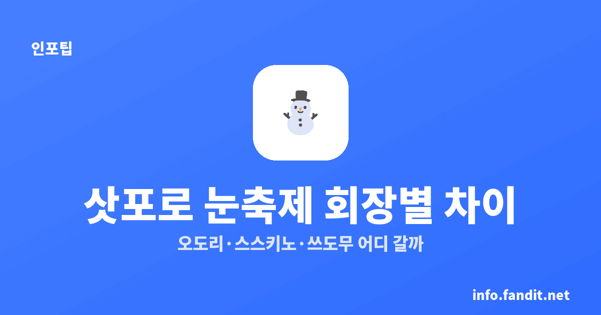 삿포로 눈축제 명당과 회장별 차이, 2027 처음이면 3곳