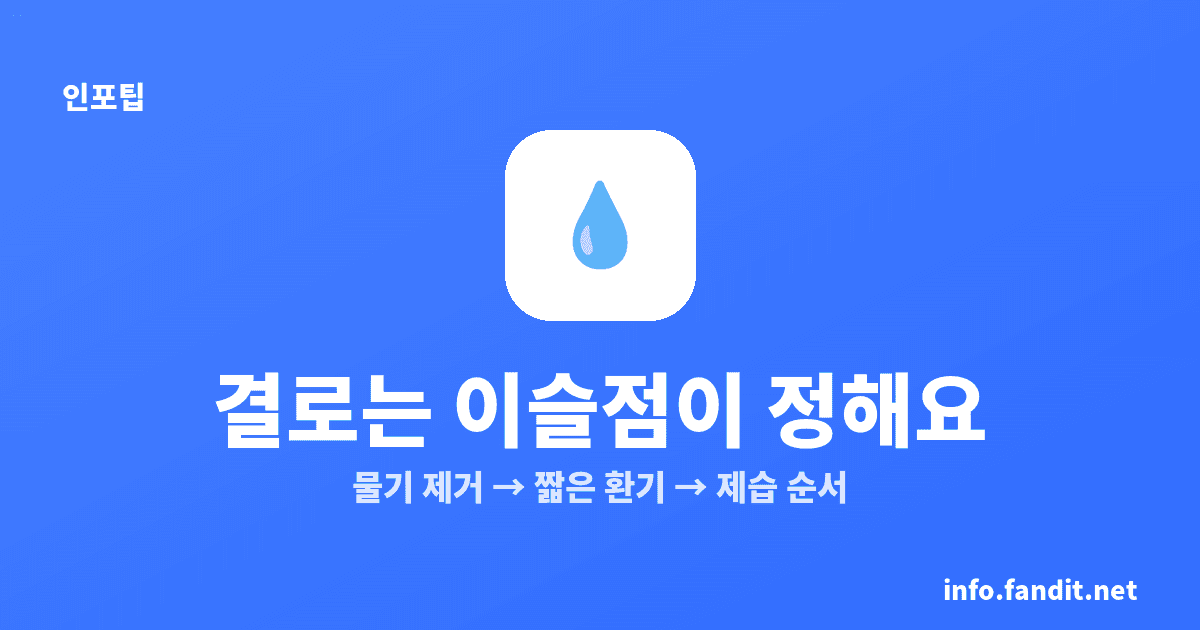 겨울 결로·곰팡이 막는 법, 환기 5~10분·제습비용 계산