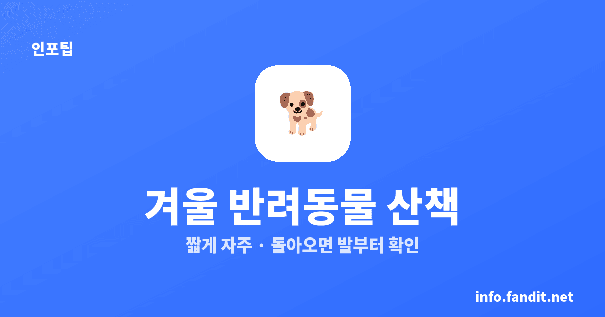 겨울철 반려동물 산책·보온 주의사항 7가지