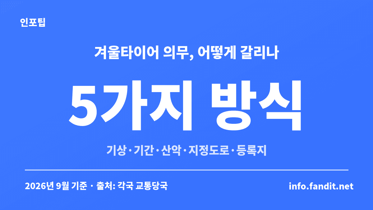 겨울 스노우타이어 의무가 기상조건·기간·산악지역·지정도로·차량등록지 5가지 방식으로 갈리는 것을 정리한 카드
